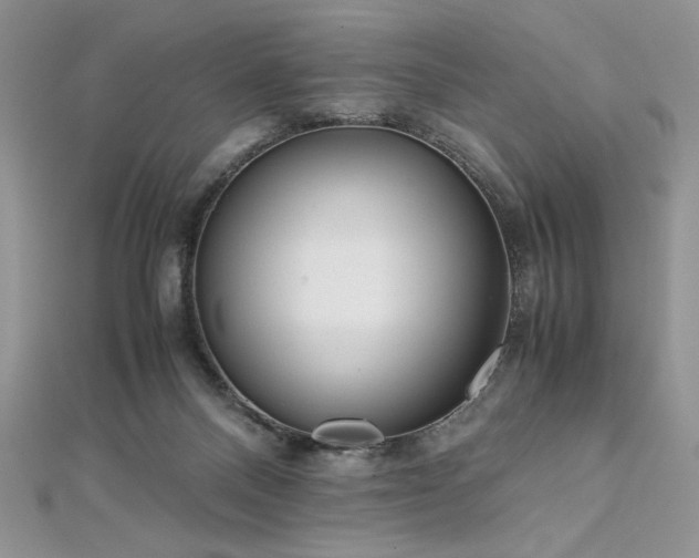 X0000113140120200909041216