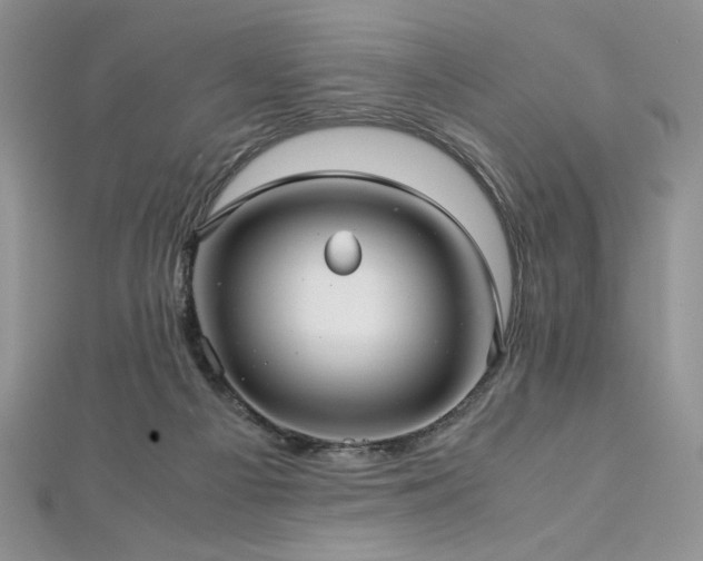 X0000113140121200909041216