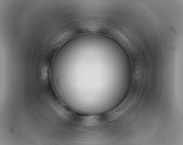 X0000113140122200909041216