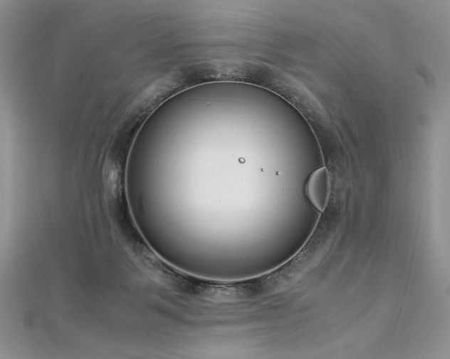 X0000113140123200909041216