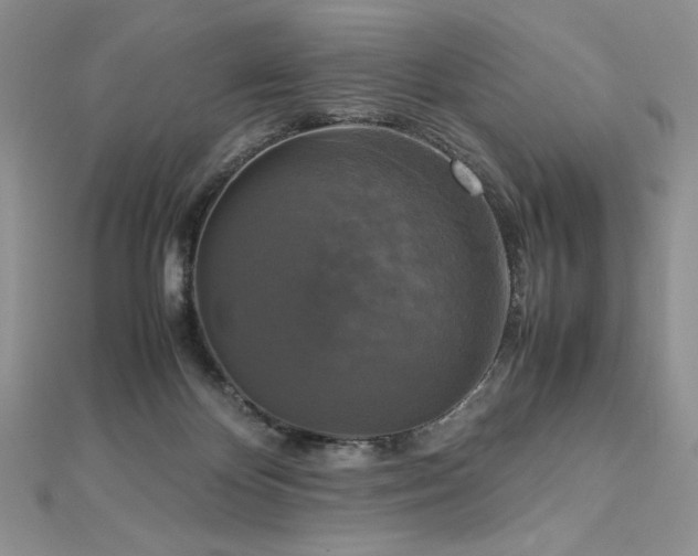 X0000113140124200909041216