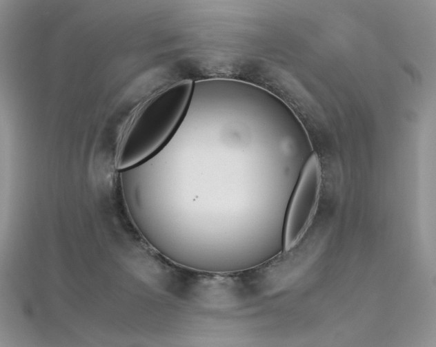 X0000113140125200909041216