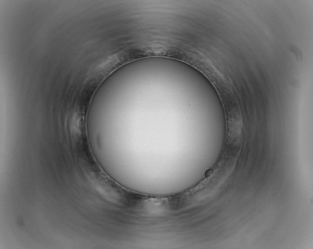 X0000113140126200909041216