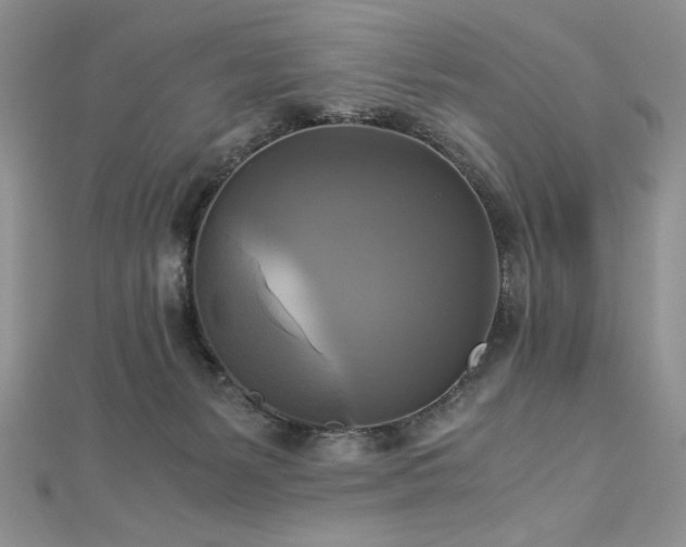 X0000113140127200909041216