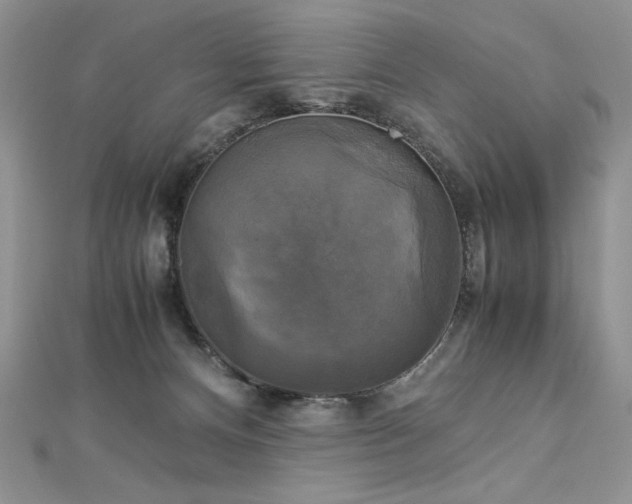 X0000113140128200909041216