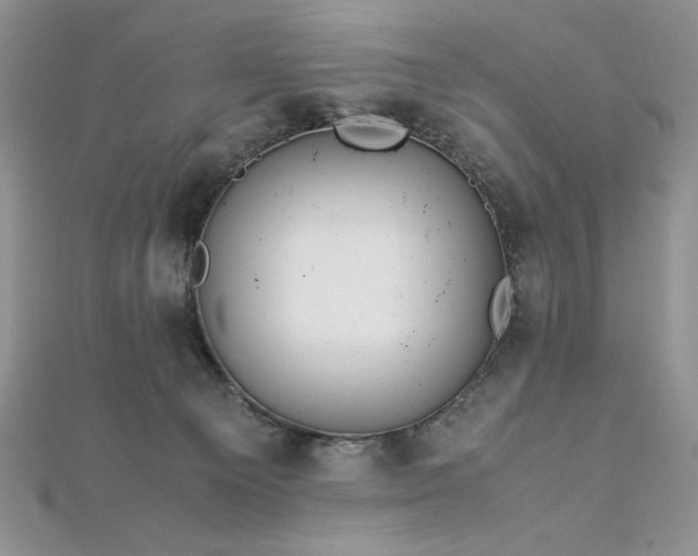 X0000113140129200909041216