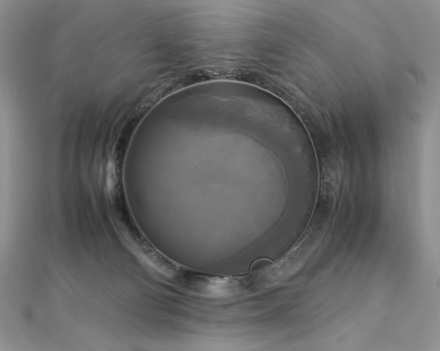 X0000113140130200909041216