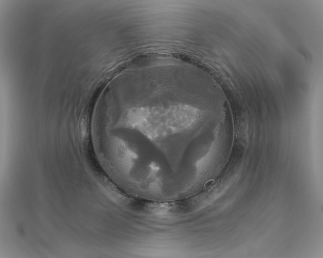 X0000113140131200909041216