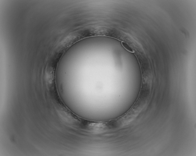 X0000113140133200909041216