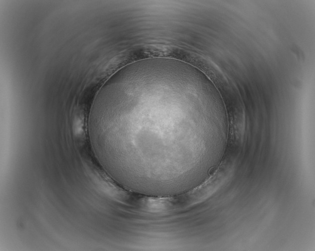 X0000113140134200909041216