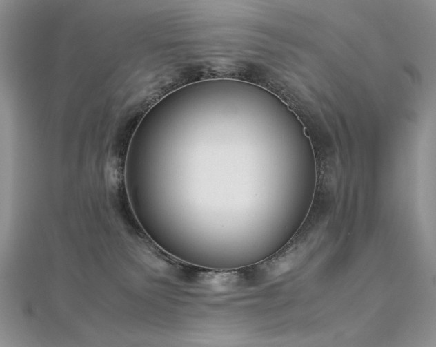 X0000113140135200909041216