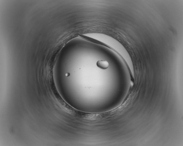 X0000113140136200909041216