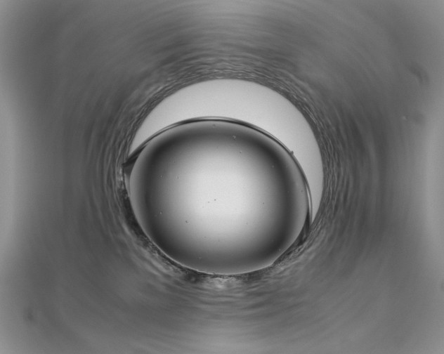 X0000113140137200909041216