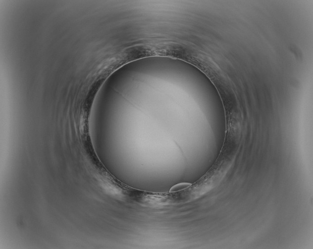 X0000113140139200909041216