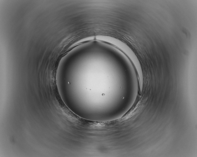 X0000113140140200909041216