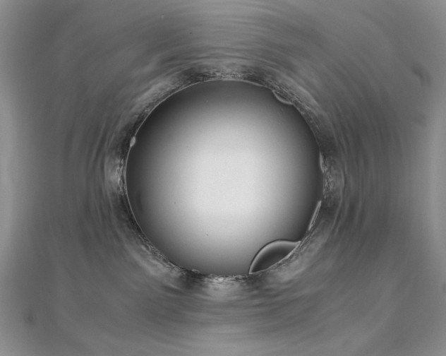 X0000113140141200909041216