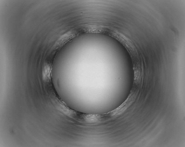 X0000113140142200909041216