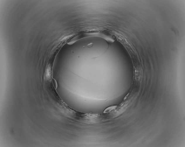 X0000113140143200909041216