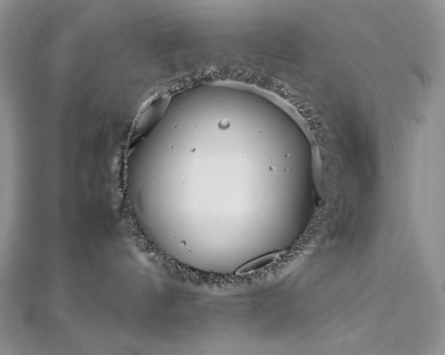 X0000113140144200909041216