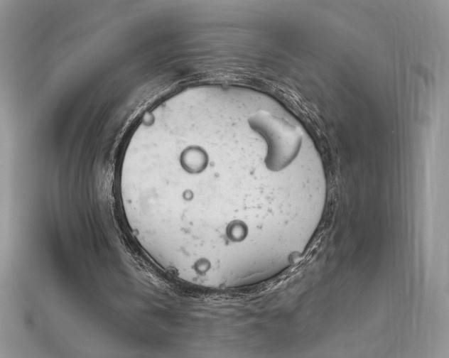 X0000113140146200909041215