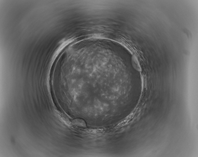 X0000113140147200909041215