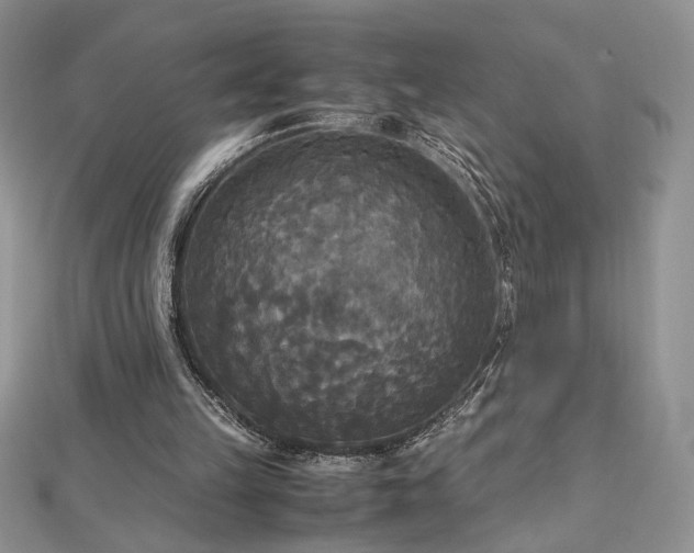 X0000113140149200909041215