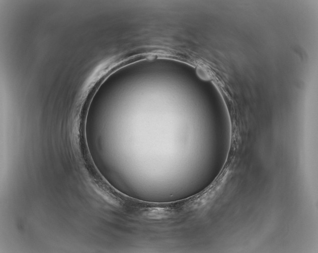 X0000113140151200909041215