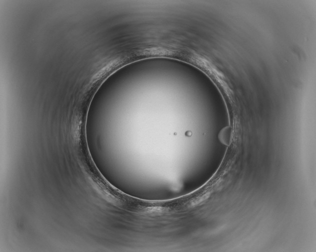 X0000113140153200909041215