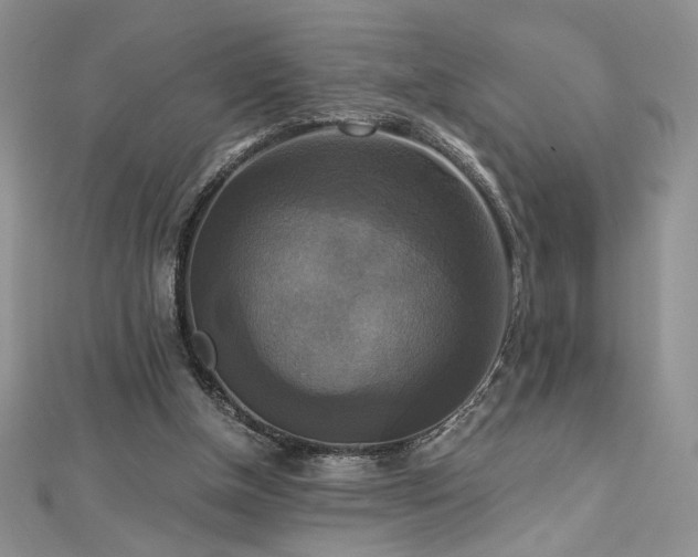 X0000113140154200909041215