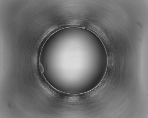 X0000113140156200909041215