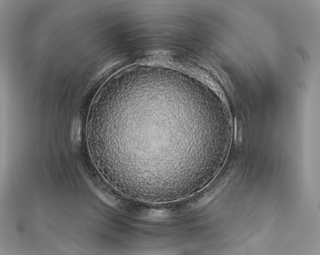 X0000113140157200909041215