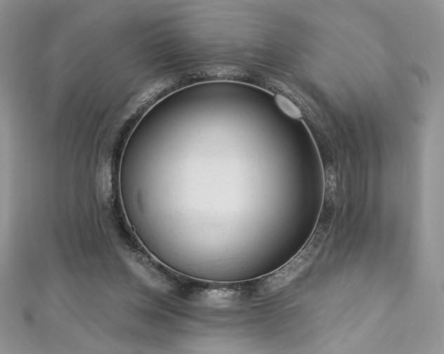 X0000113140158200909041215