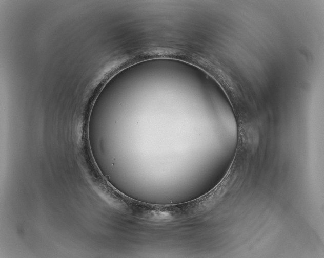 X0000113140159200909041216