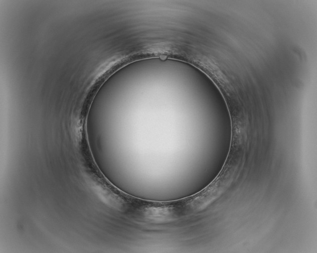 X0000113140160200909041216