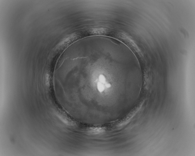 X0000113140161200909041216