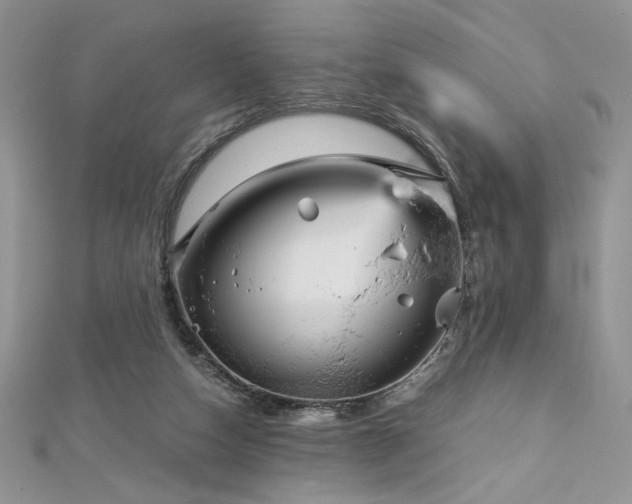 X0000113140162200909041216