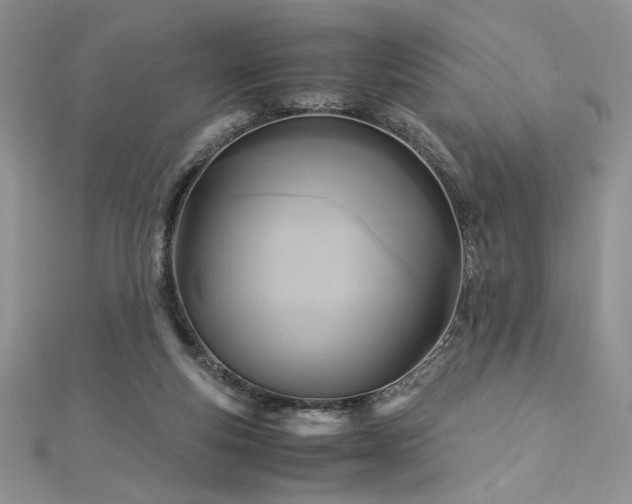 X0000113140163200909041216