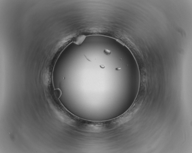 X0000113140164200909041216