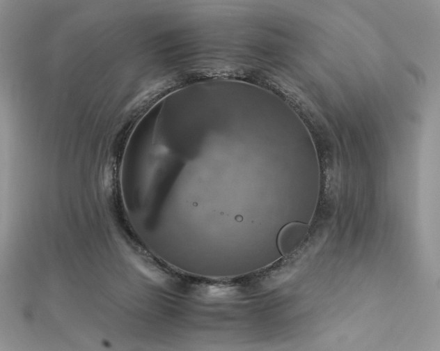 X0000113140165200909041216