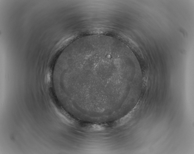 X0000113140166200909041216