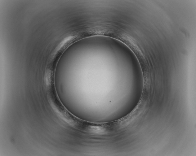 X0000113140167200909041216