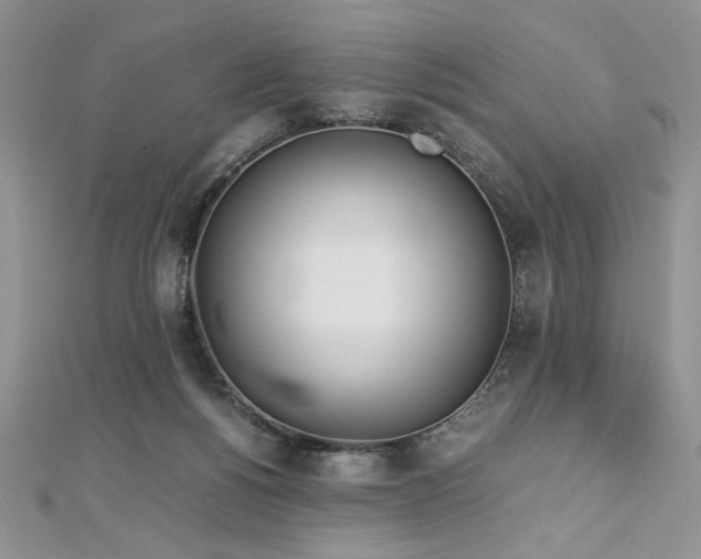 X0000113140168200909041216