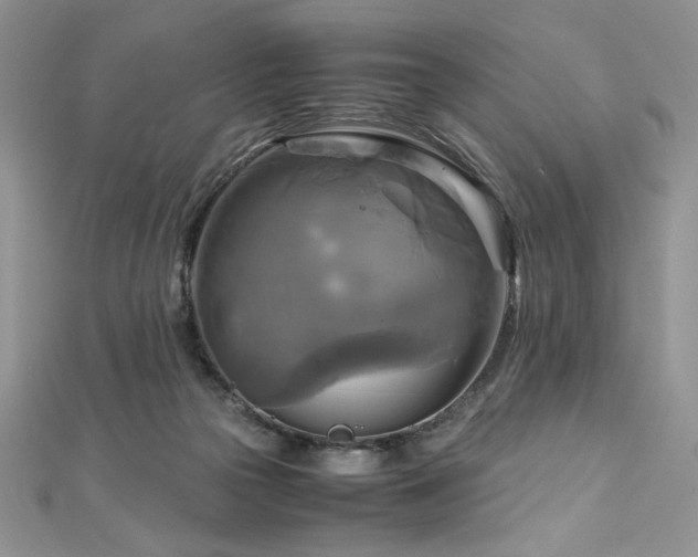 X0000113140169200909041216