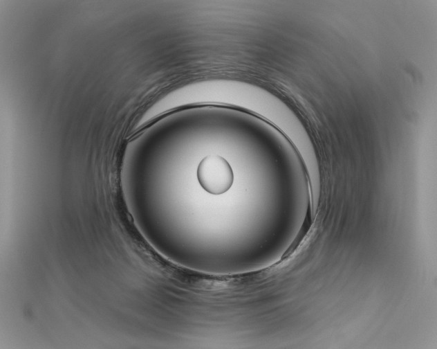 X0000113140170200909041216