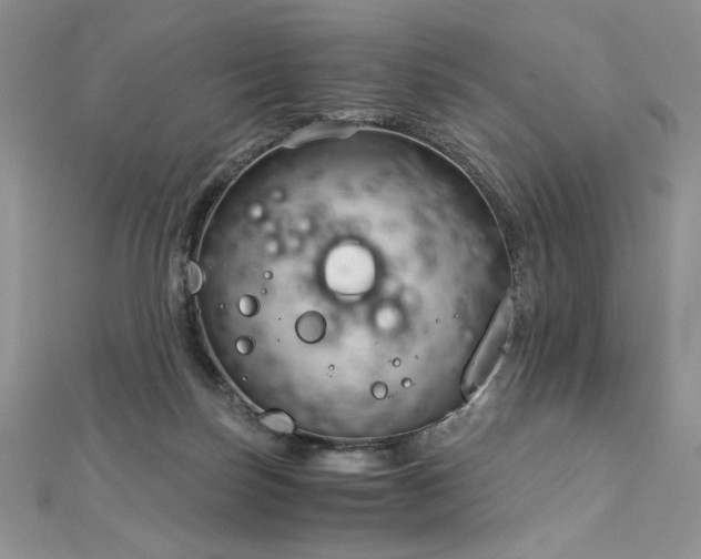 X0000113140171200909041216