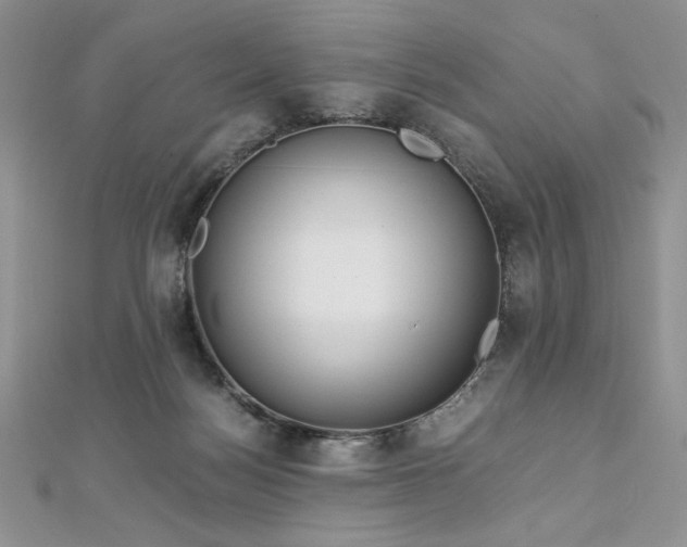 X0000113140172200909041216