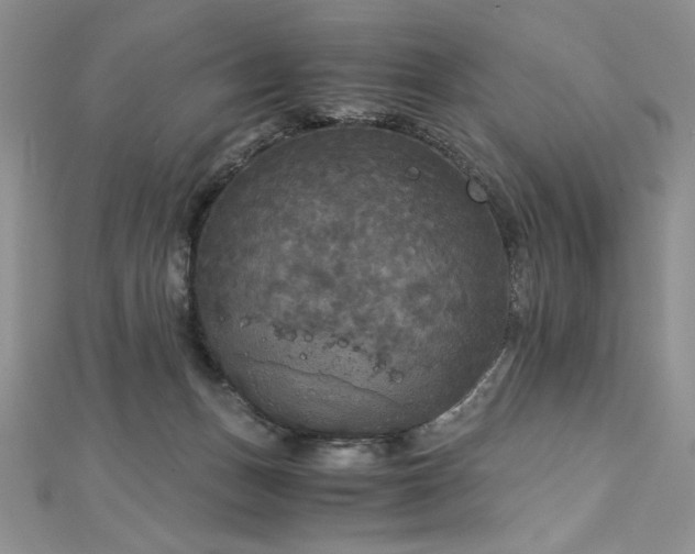 X0000113140175200909041216