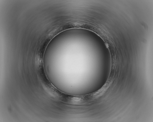 X0000113140176200909041216