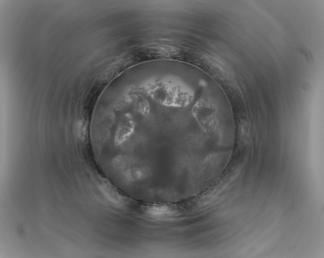 X0000113140177200909041216