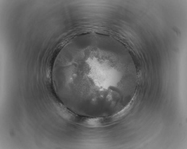 X0000113140178200909041216